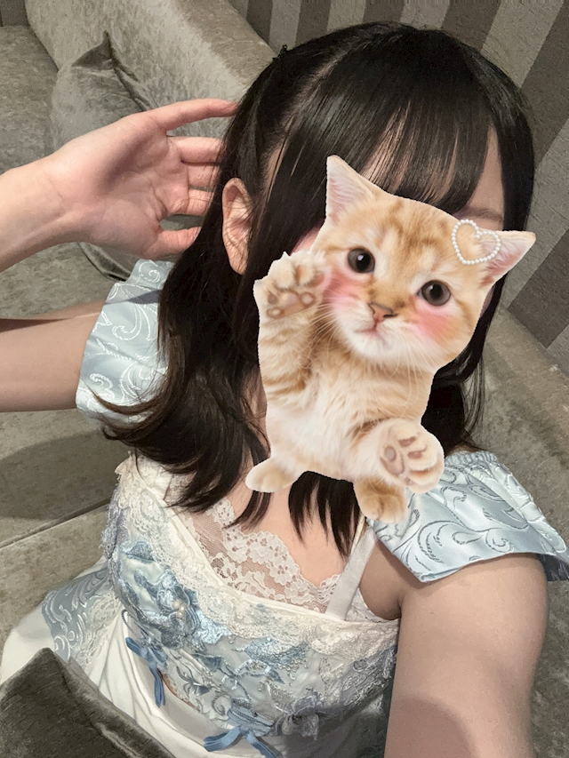 【WordPress】サムネイルをクリックすると画像が切り替わるコンテンツを作る方法、動作不具合時の対応|Knowledge Base